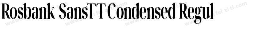 Rosbank SansTT Condensed Regular字体转换